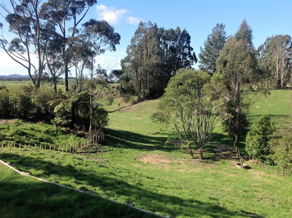 Rolling Hills Country Stay B&B Tauranga Buitenkant foto