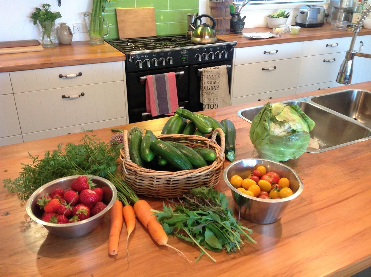 Rolling Hills Country Stay B&B Tauranga Buitenkant foto