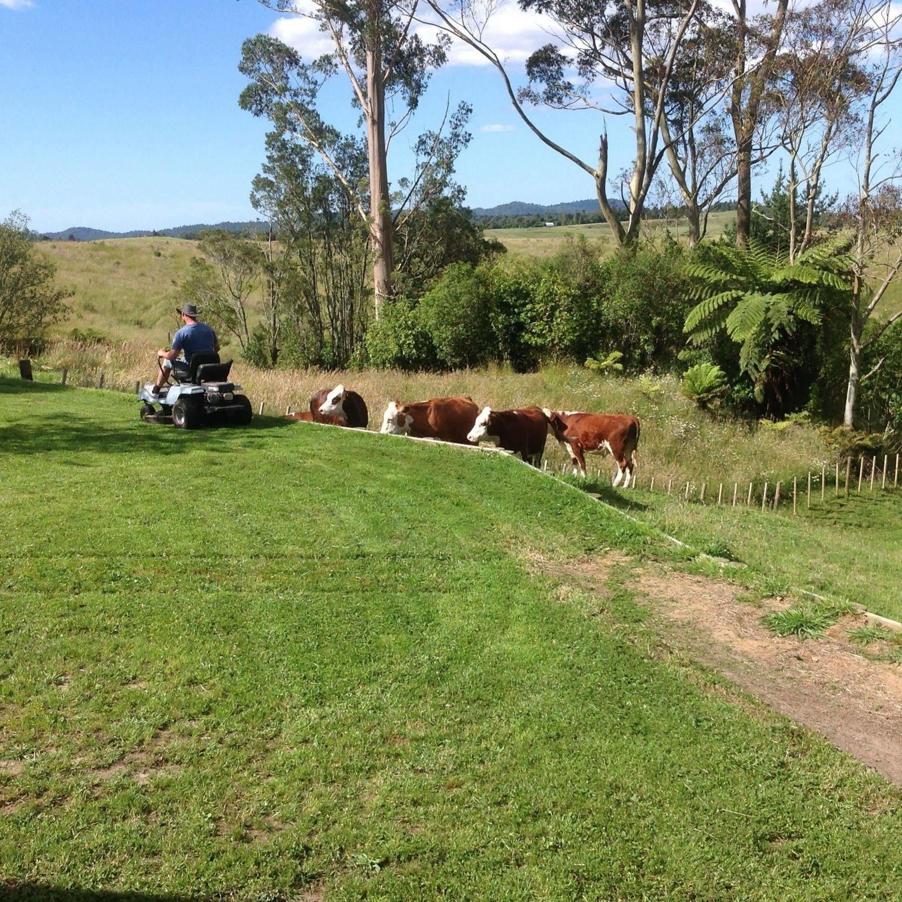 Rolling Hills Country Stay B&B Tauranga Buitenkant foto